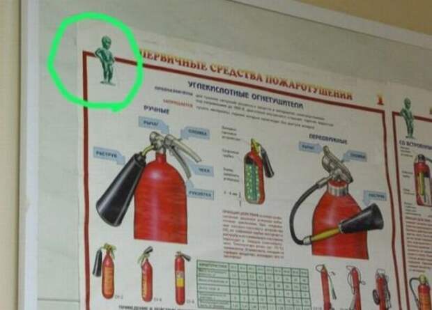 Картинки, юмор, приколы