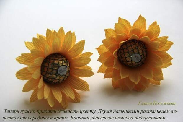 Подсолнухи