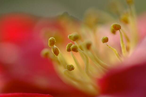 Есть только миг между прошлым и будущем... Есть только миг между прошлым и будущем...