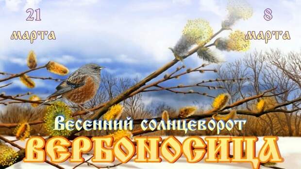 Весенний солнцеворот, Вербоносица