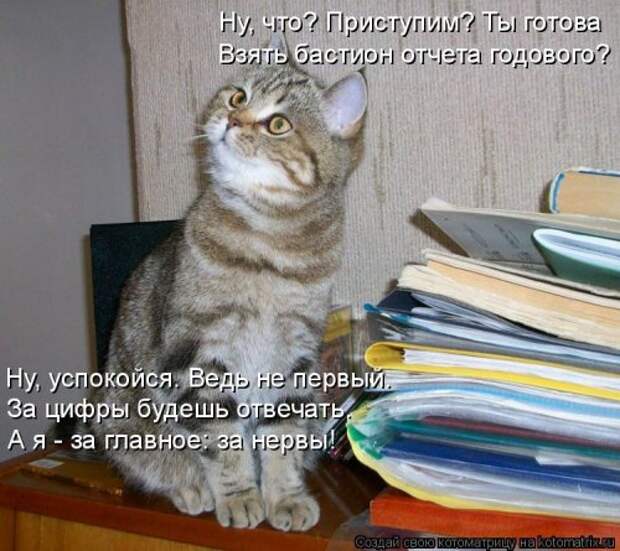 Свежая котоматрица (20 фото)