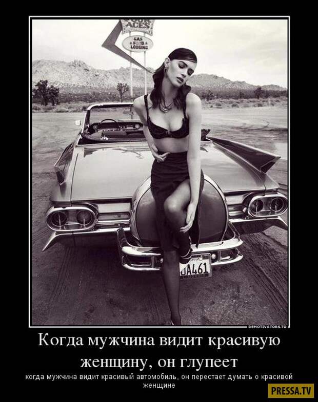 Демотиваторы (43 фото)
