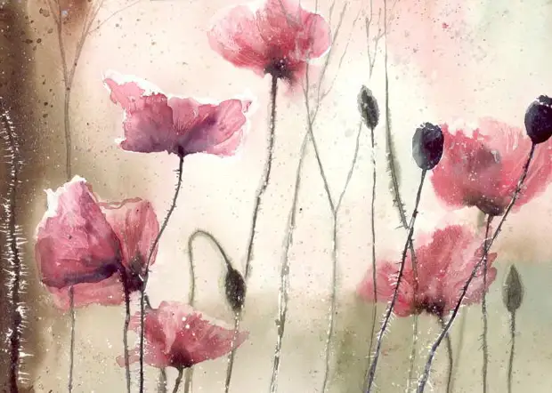       (Malgorzata Szczecinska)