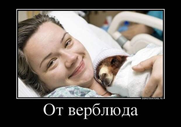 Сборник свежих демотиваторов (15 шт)