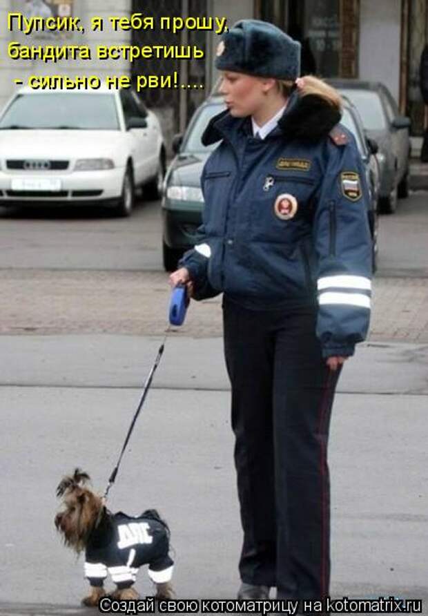 Котоматрица - Пупсик, я тебя прошу,  бандита встретишь  - сильно не рви!....