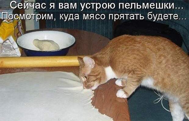 Субботний позитивчик (30 фото)