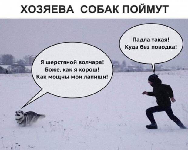 Картинки всякие