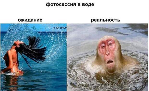 Ожидание и реальность демотиваторы, ожидание и реальность, прикол, юмор
