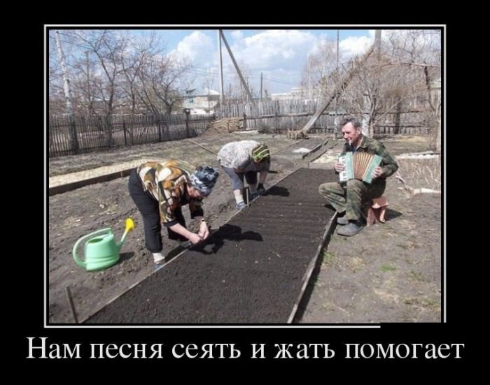 Демотиваторы на понедельник (30 фото)