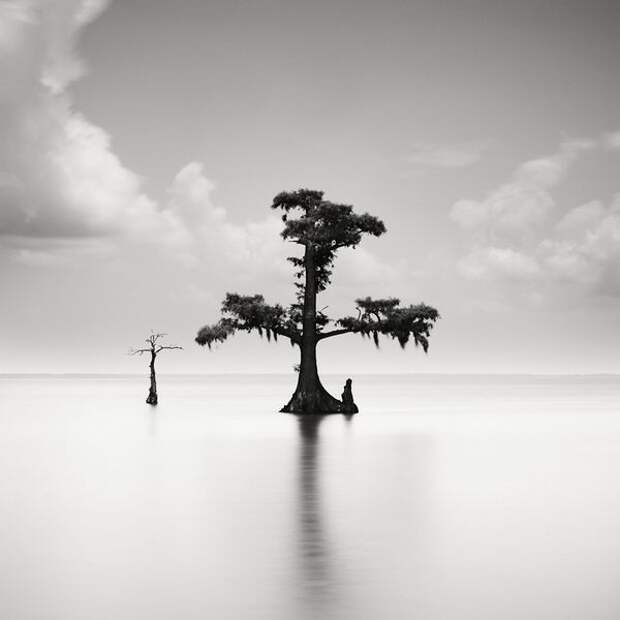 Лучшие фотографии International Photography Awards (IPA) 2007