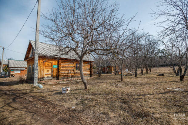 Бакчада агачларны кискән өчен штраф салулары ихтимал