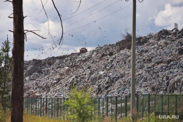 Тонны ядохимикатов закопаны под Курганом
