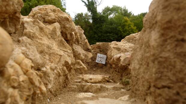 Баварские археологи раскопали останки хипстера возрастом 1,5 тысячи лет