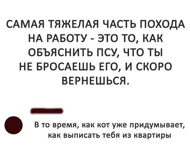 17 разрывных анекдотов для отличного настроя. Позитив на весь день! 17 разрывных анекдотов для отличного настроя. Позитив на весь день!
