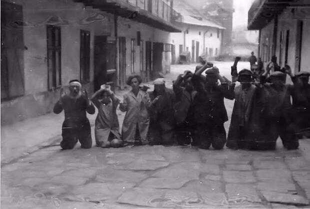 30 шокирующих фотографий львовских погромов 1941 года