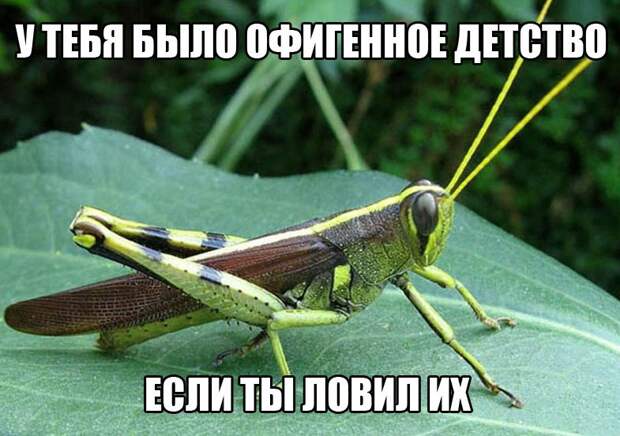 Забавные и веселые картинки с надписями (11 фото) Забавные и веселые картинки с надписями (11 фото)