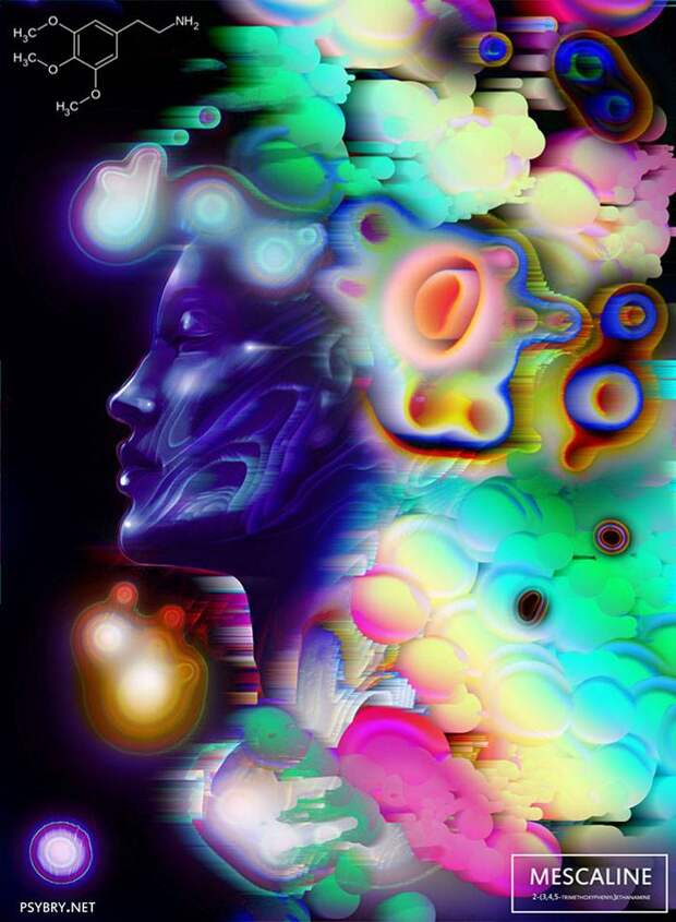 Художник продемонстрировал влияние разных наркотиков на мозг человека