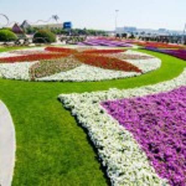 Dubai Miracle Garden