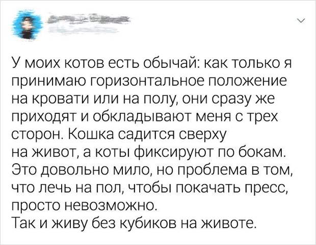 Ситуации, которые показывают, что это кошки заводят нас, а не мы их