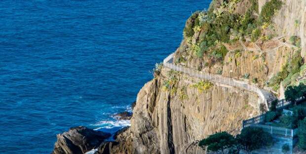 Тропа любви (Виа дель Аморе). / Фото: www.bestofcinqueterre.com