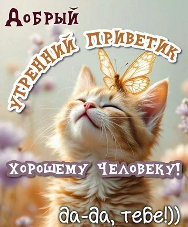 Предчувствие...