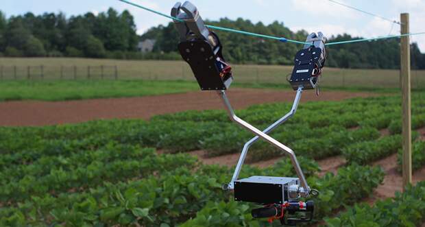 Tarzan the robot swinging over a field of crops