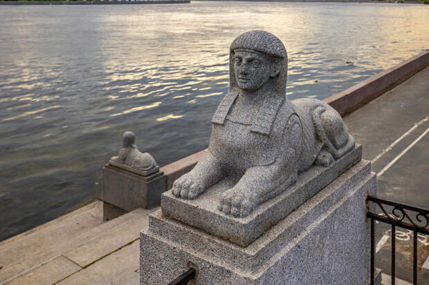 Амбассадоров Петербурга отправит за рубеж "Панацея"