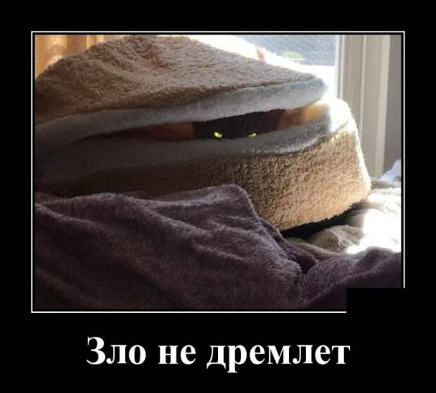 Демотиваторы №2104 (30 фото)