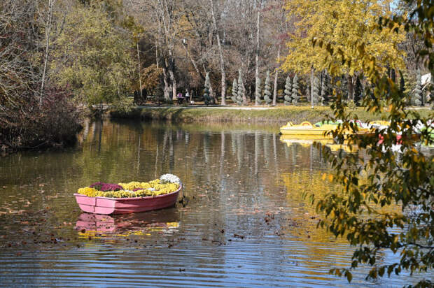 Крым атаковали комары: ученый назвал причину аномальной активности