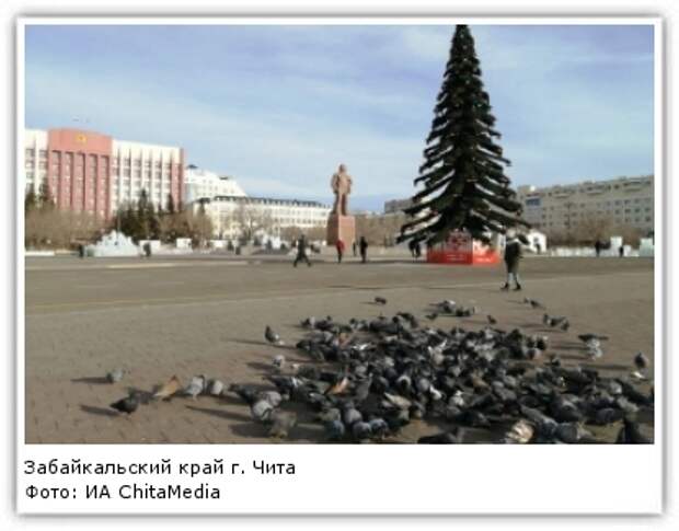 Фото: ИА ChitaMedia