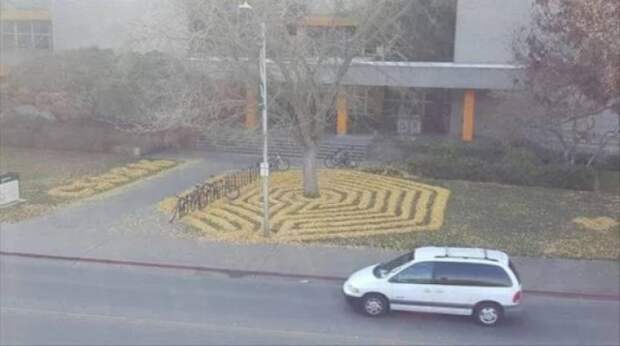 Необычные таланты и увлечения людей на фото