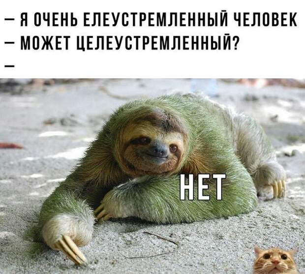 Прикольные и смешные картинки Прикольные и смешные картинки
