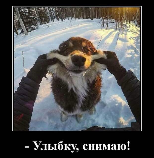 Улыбку,снимаю! демотиватор, демотиваторы, жизненно, картинки, подборка, прикол, смех, юмор