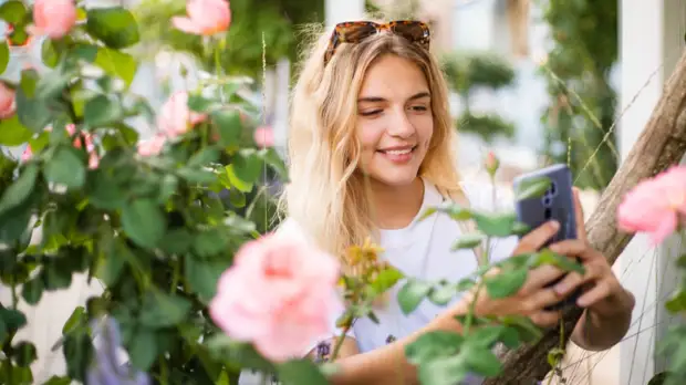 Фестиваль «Цветочный джем» удостоен премии в области ландшафтной архитектуры