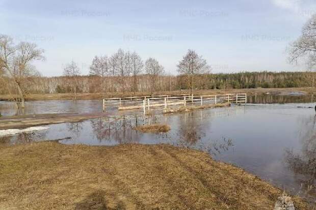 За сутки уровень воды в реках Тамбовской области понизился от 1 до 11 см