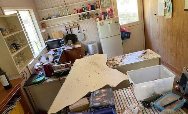 Дэвид Тейт вернулся из отпуска и нашел в доме необычных гостей