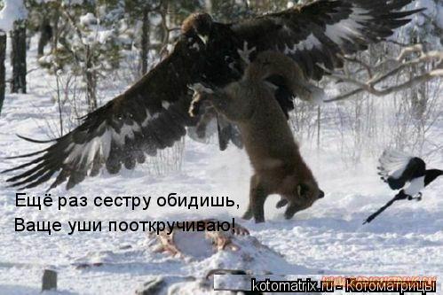 О братьях наших меньших....