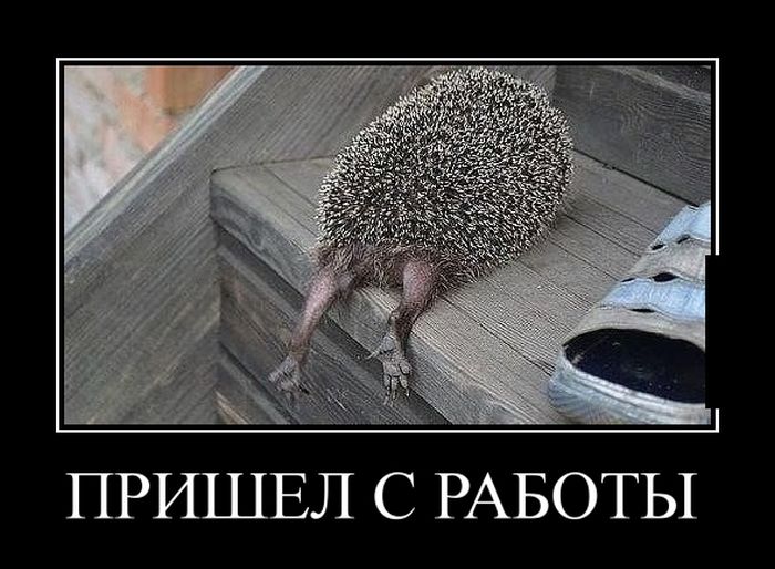 Подборка веселых и смешных демотиваторов со смыслом (10 фото)