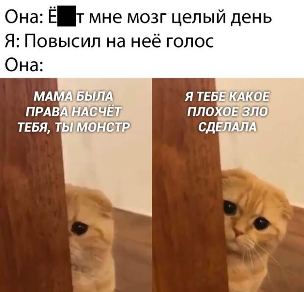 Подборка картинок. Субботний выпуск (30 фото)