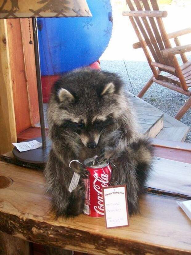 Давайте улыбаться вместе! :)