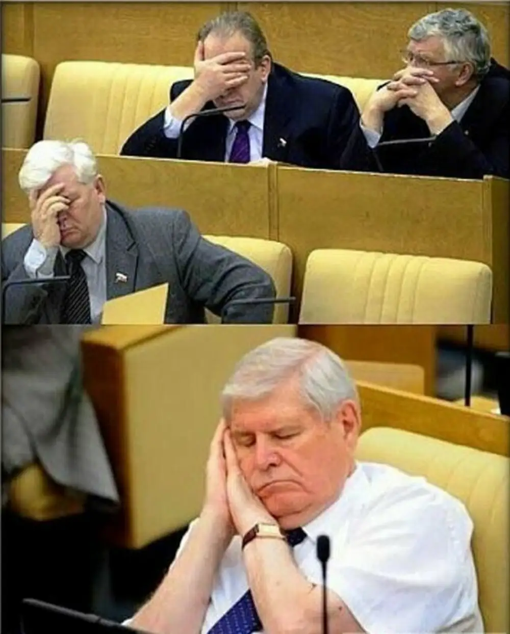 спящие депутаты государственной думы фото