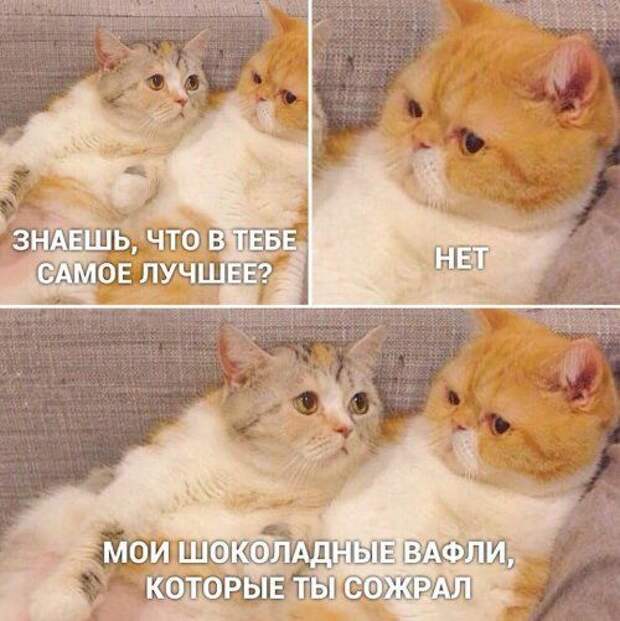 1579359331_lol-3.jpg