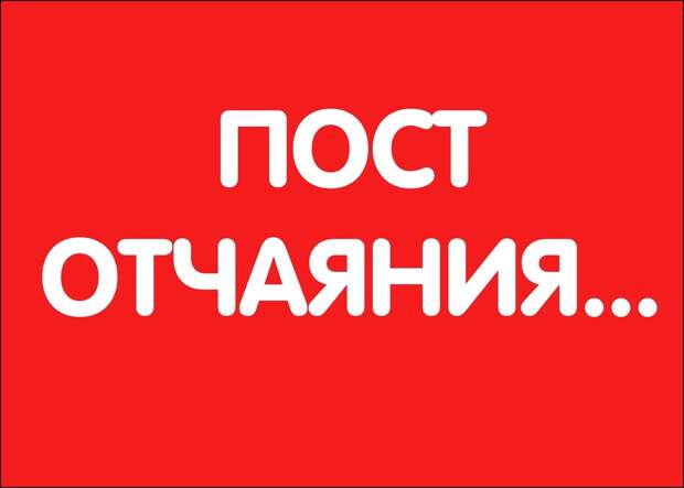 Умоляем, помогите! Целыми днями малыши ждут помощи на ступеньках магазина, жалобно мяукая. Сколько ещё они продержаться.....