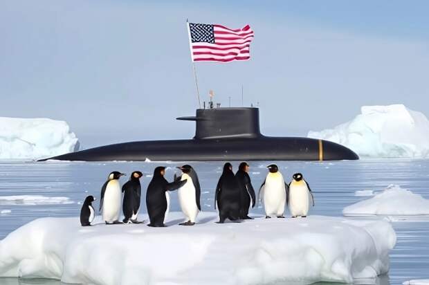 Пингвин в Белом доме: как абсурдная фотография подорвала стратегические дискуссии США о Гренландии