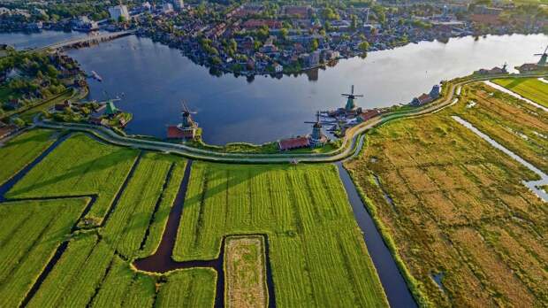 В Нидерландах хорошо развито сельское хозяйство / Фото: goodfon.ru