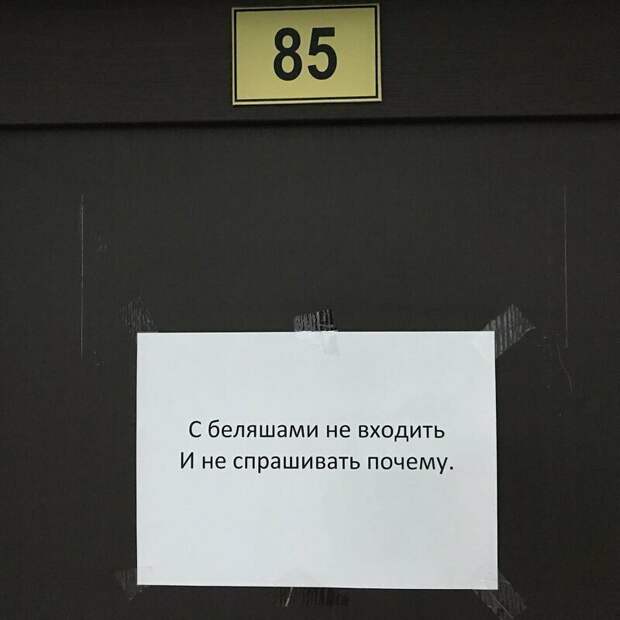 Взгляд со стороны на жизнь работников офиса Взгляд со стороны на жизнь работников офиса