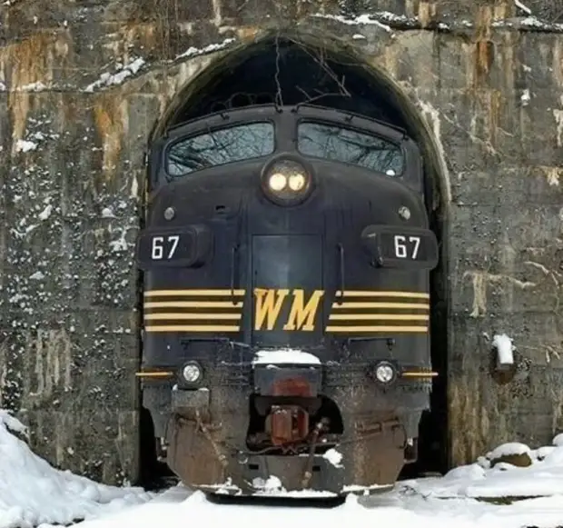 Как они туда протискиваются? Как они туда протискиваются?