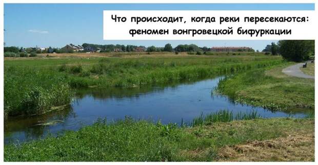 Что происходит, когда реки пересекаются: феномен вонгровецкой бифуркации
