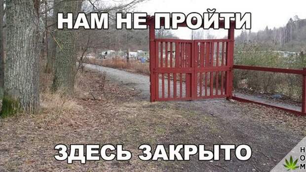 Смешные картинки с надписью до слез (12 фото) Смешные картинки с надписью до слез (12 фото)