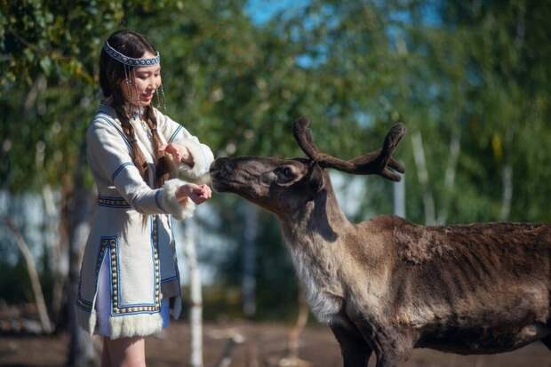 Как живут в чуме оленеводы: сон, еда и быт на 40 квадратных метрах